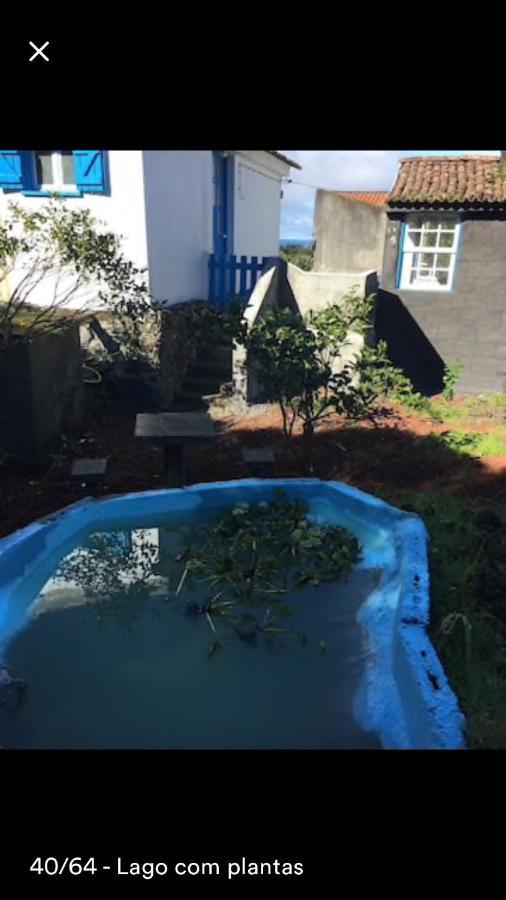 Adega Guest House Horta  Dış mekan fotoğraf